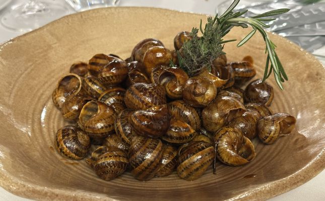 Els cargols de l'Espurna