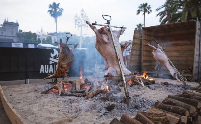 Festival Meat & Fire