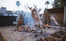 Festival Meat & Fire