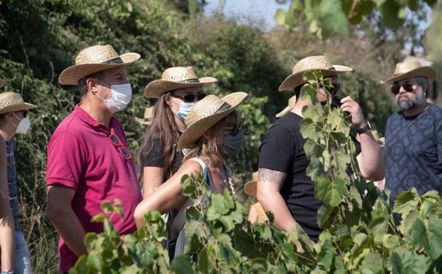 Ruta del Paleotast a les vinyes