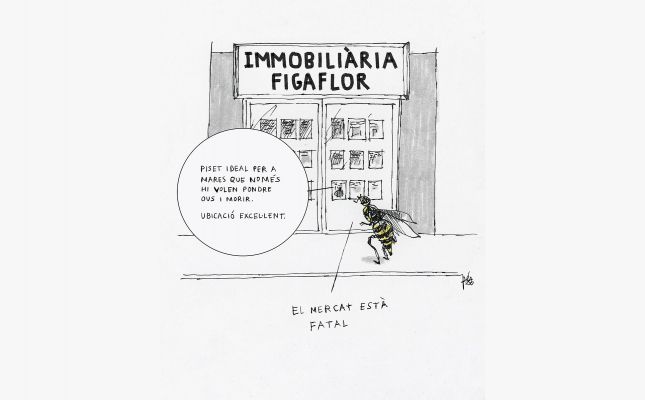 Per què els vegans no mengen figues?