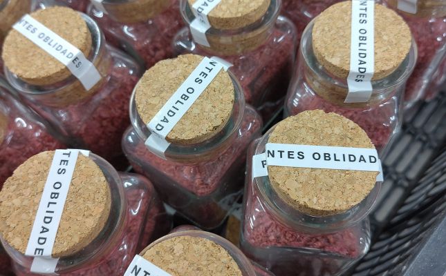 Producte del projecte Plantes Oblidades elaborat per Eixarcolant