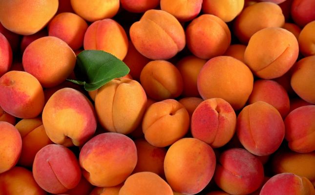 Albercocs
