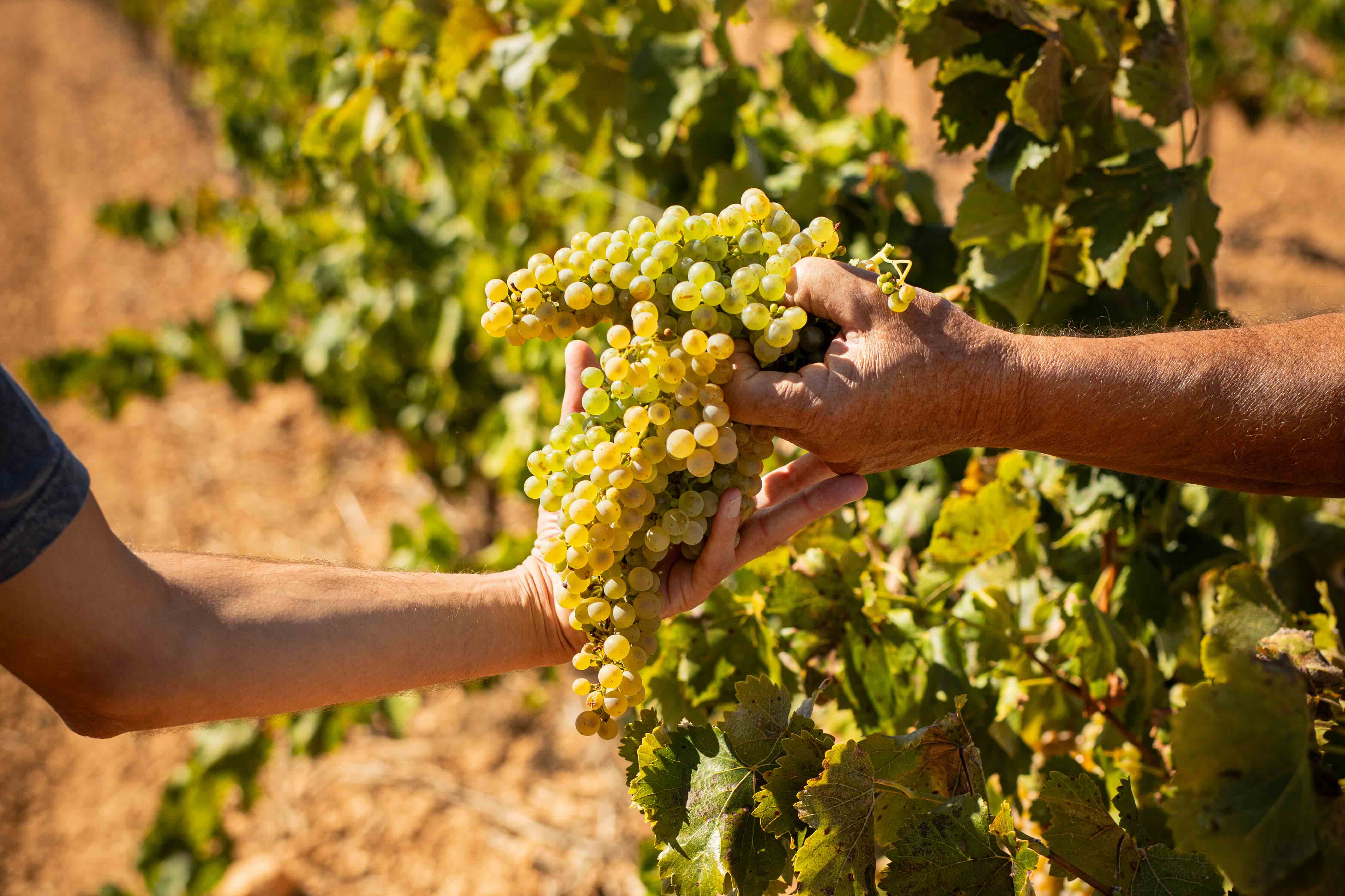 fb98db26 3839 4313 b5f1 111650e9de54