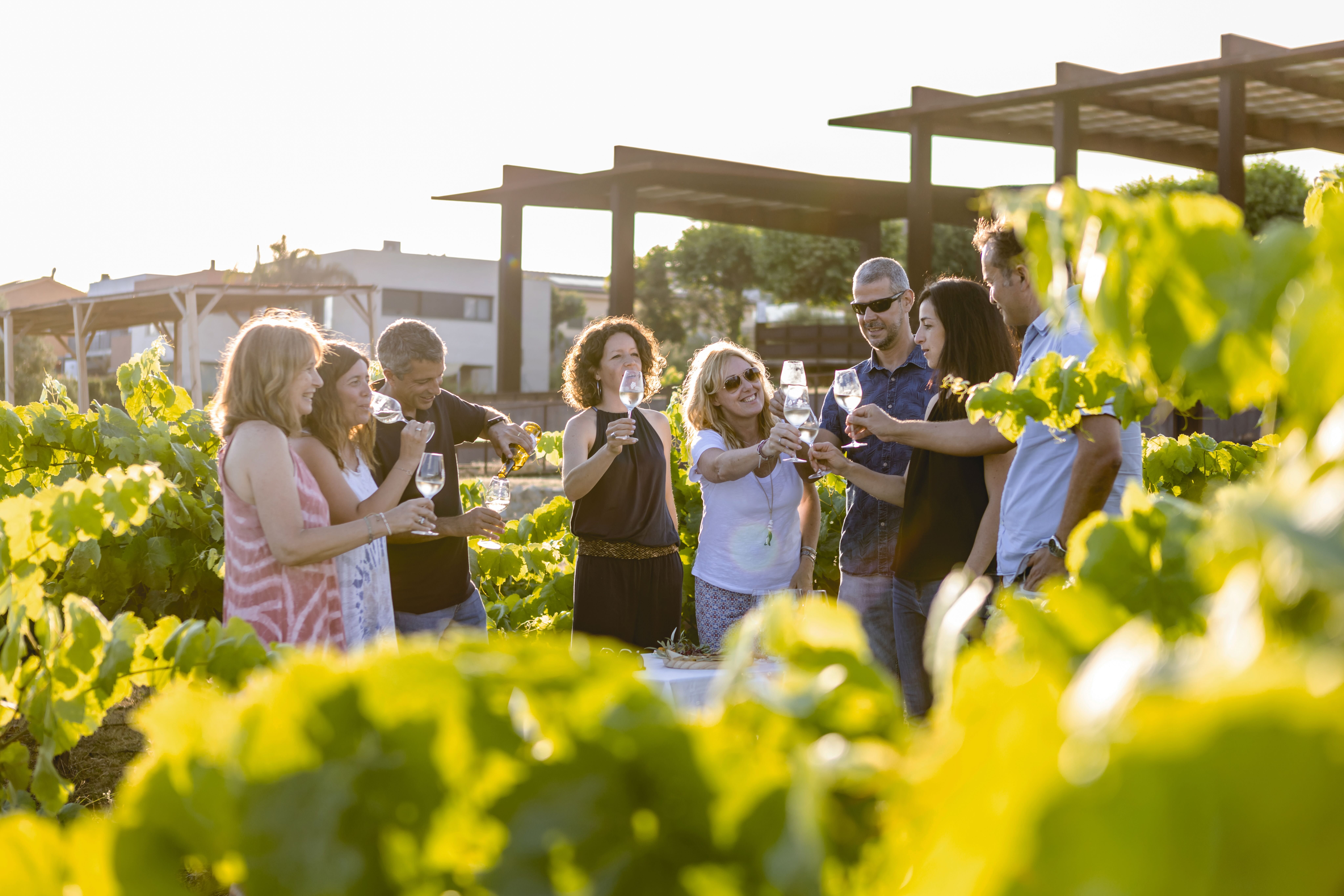 Maridatge entre vinyes