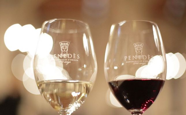 Vins de la DO Penedès