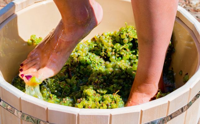 La Verema del Cava celebra el desè aniversari