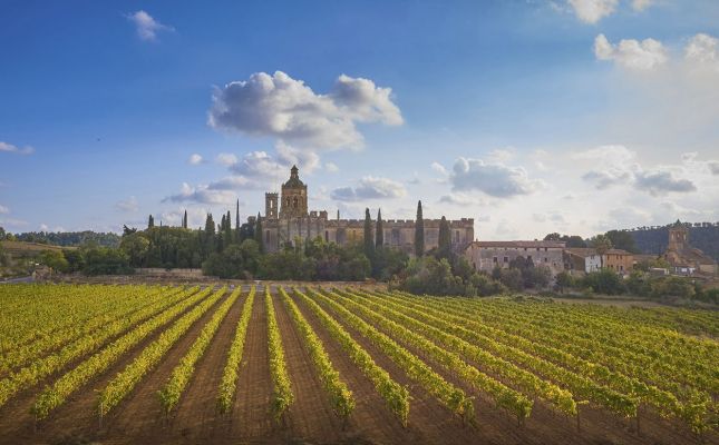 El monestir de Santes Creus és un dels punts destacats de La Ruta del Cister
