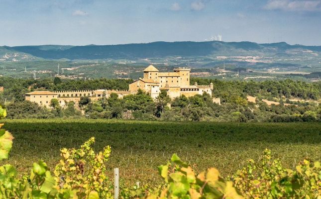 El festival TRESC CONCA: Cultura i vi vol convertir-se en un motor de promoció cultural, econòmica i turística per a la comarca, reforçant-ne l'oferta i projectant la seva identitat arreu del país