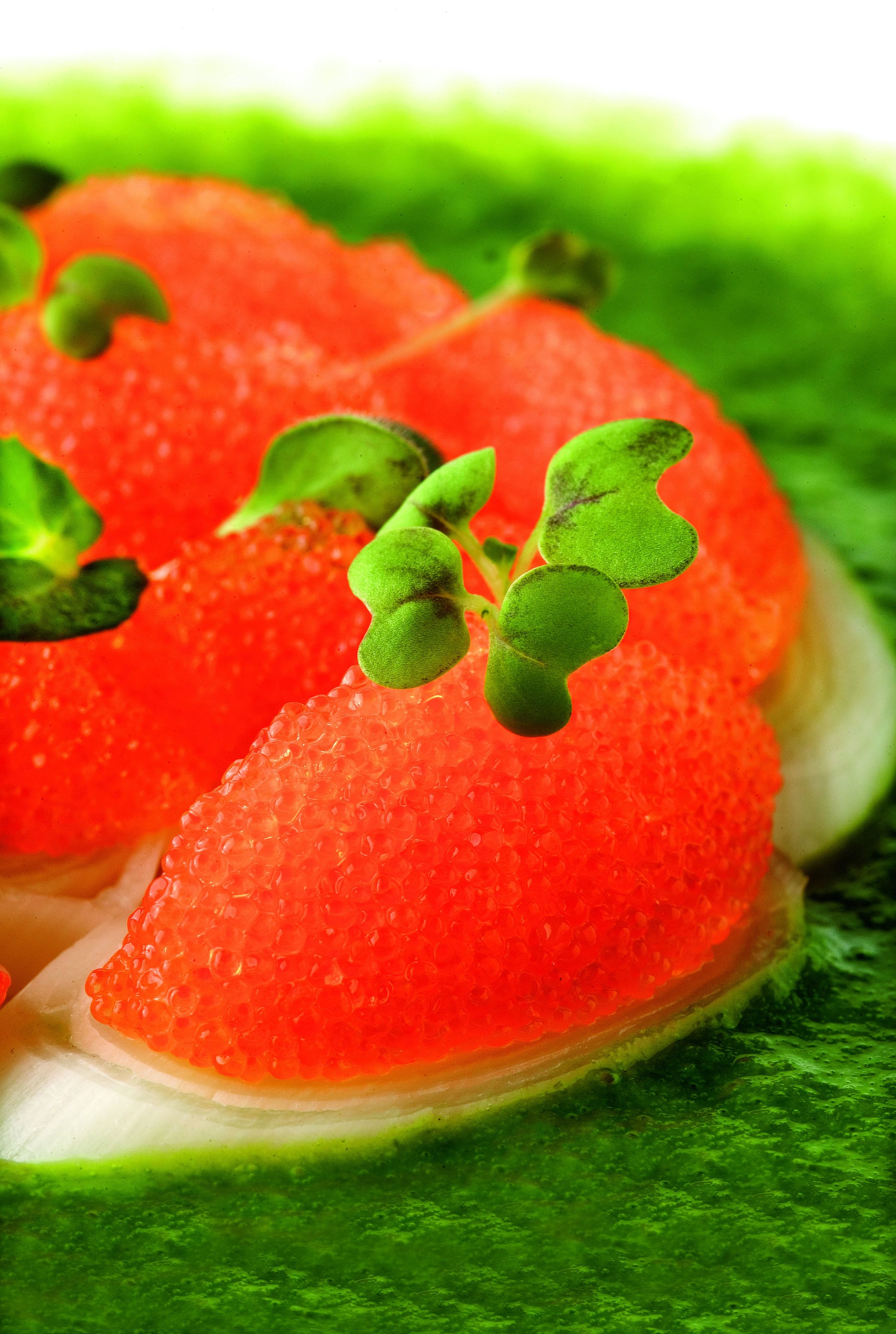 Porros amb crema de créixens