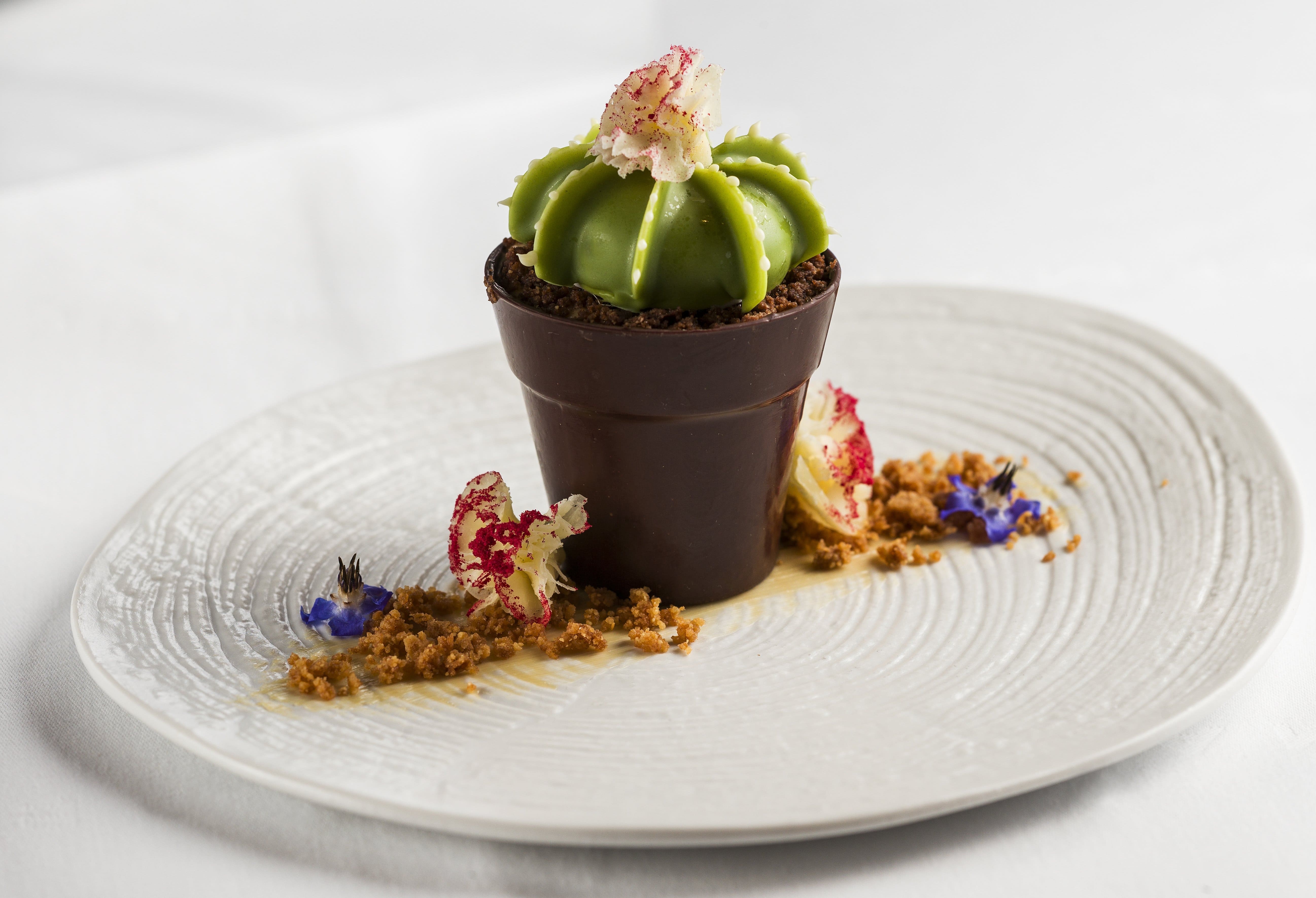 Cactus (Quesos de Suiza)