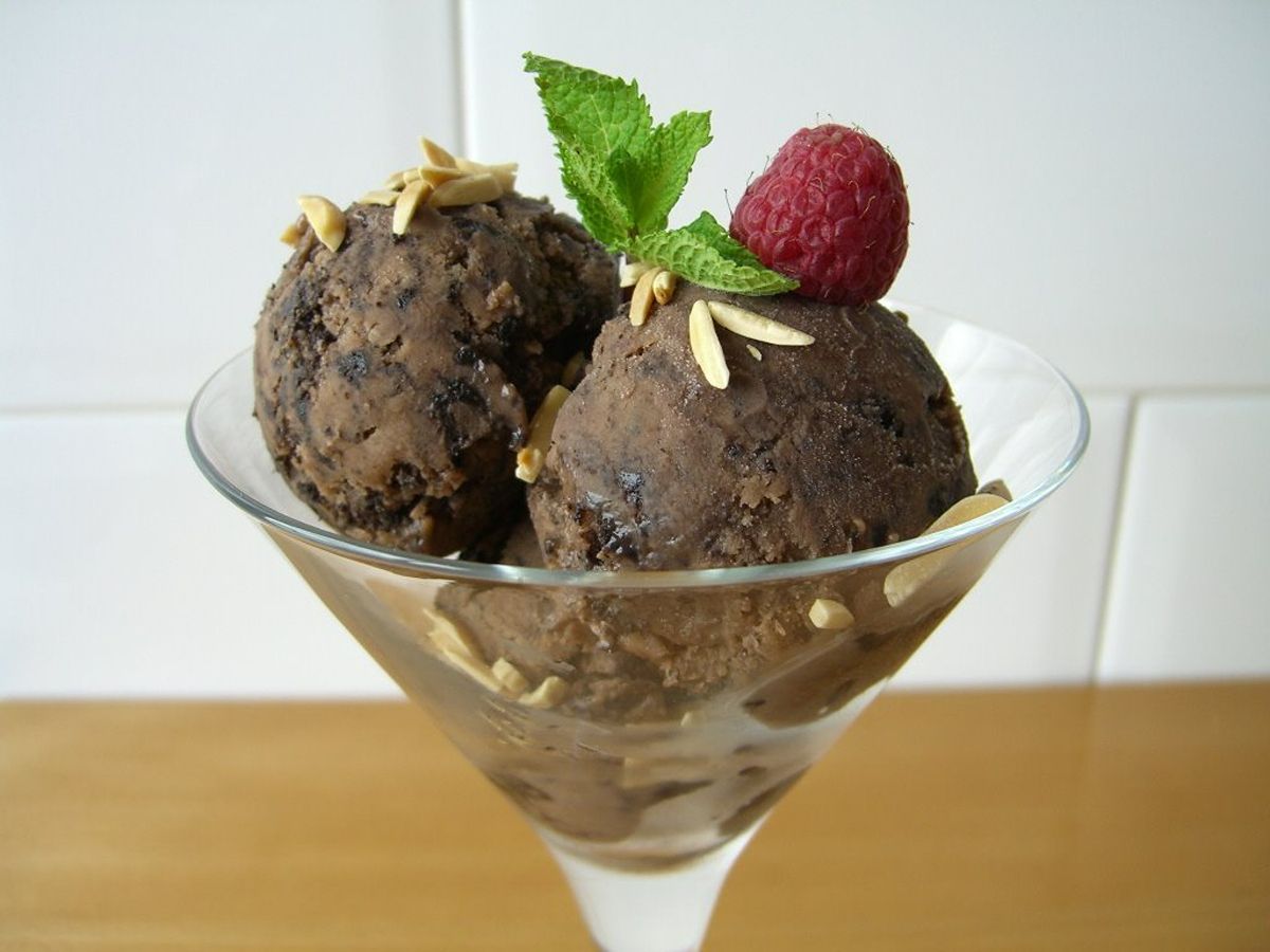 gelat xoco gemma (1)