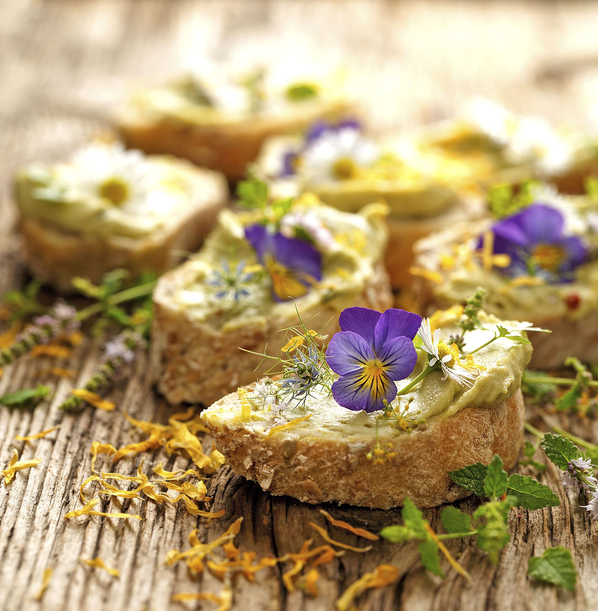 Canapè d’hummus de faves, flors de violeta i camamilla