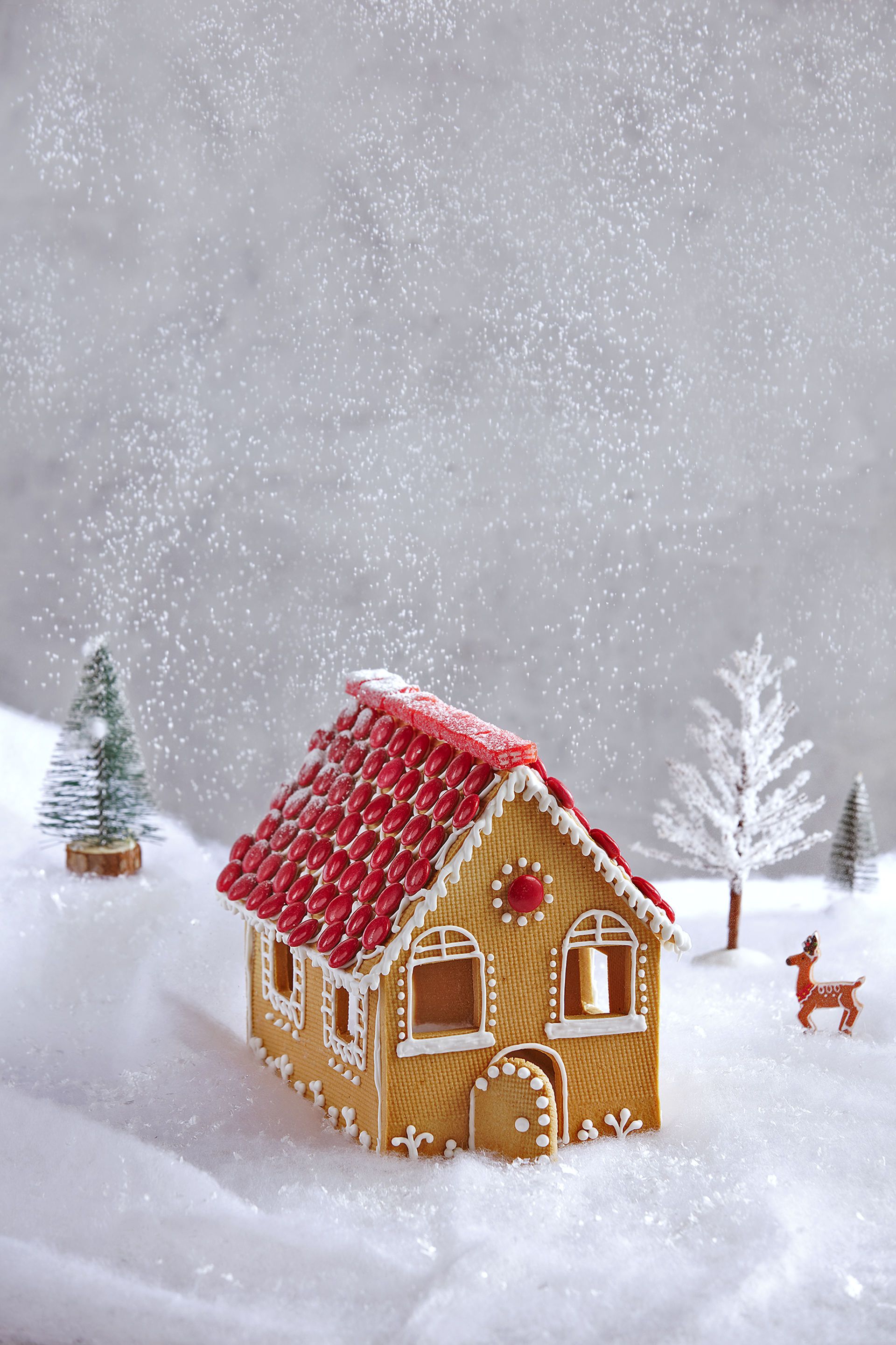 casita de jengibre r