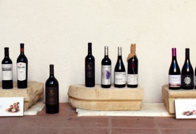 unnamed 7 22 645x400 unnamed 7 22 645x400