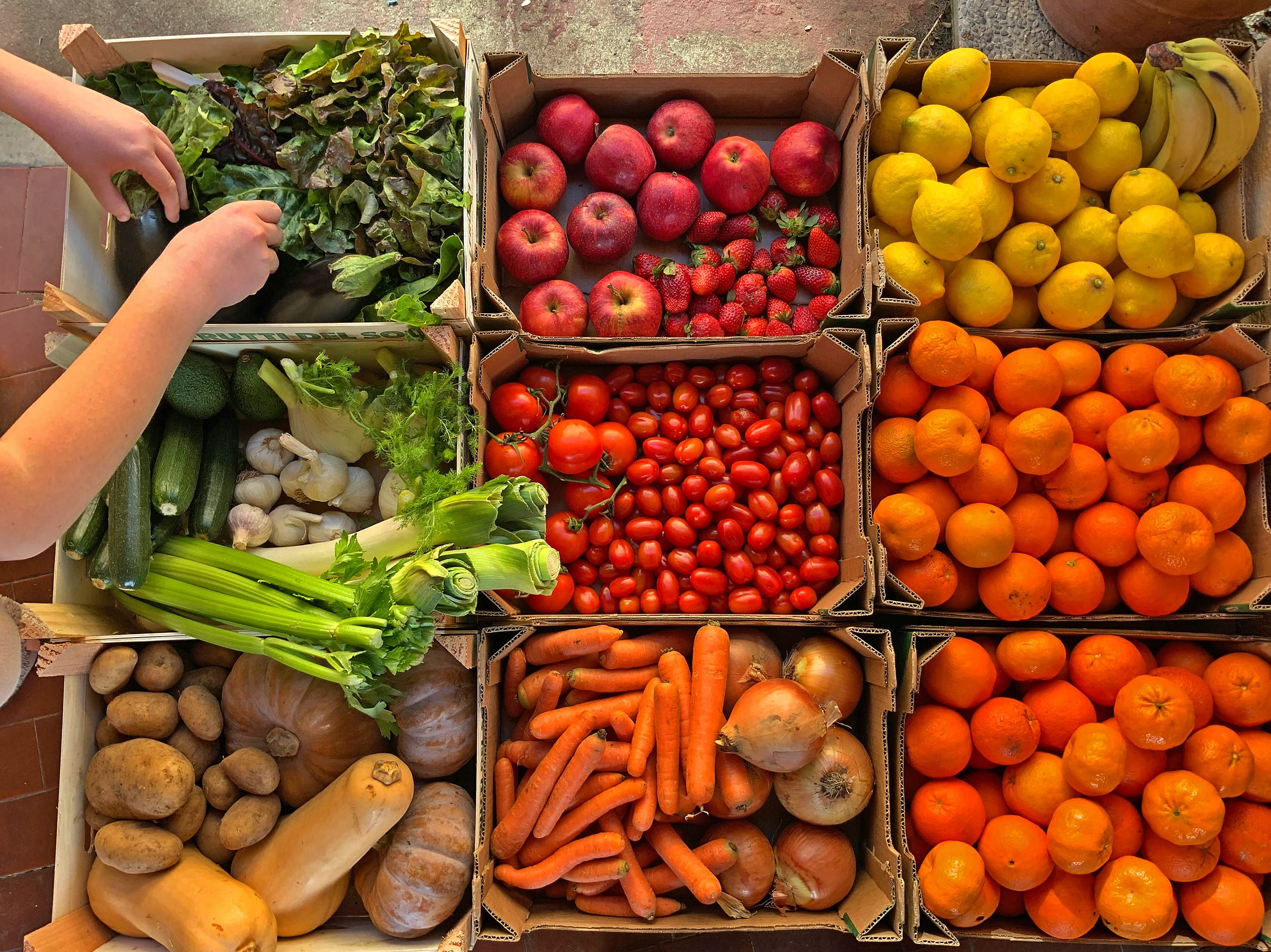 El Banc dels Aliments cada any reparteix i processa 837 tones de fruites i verdures