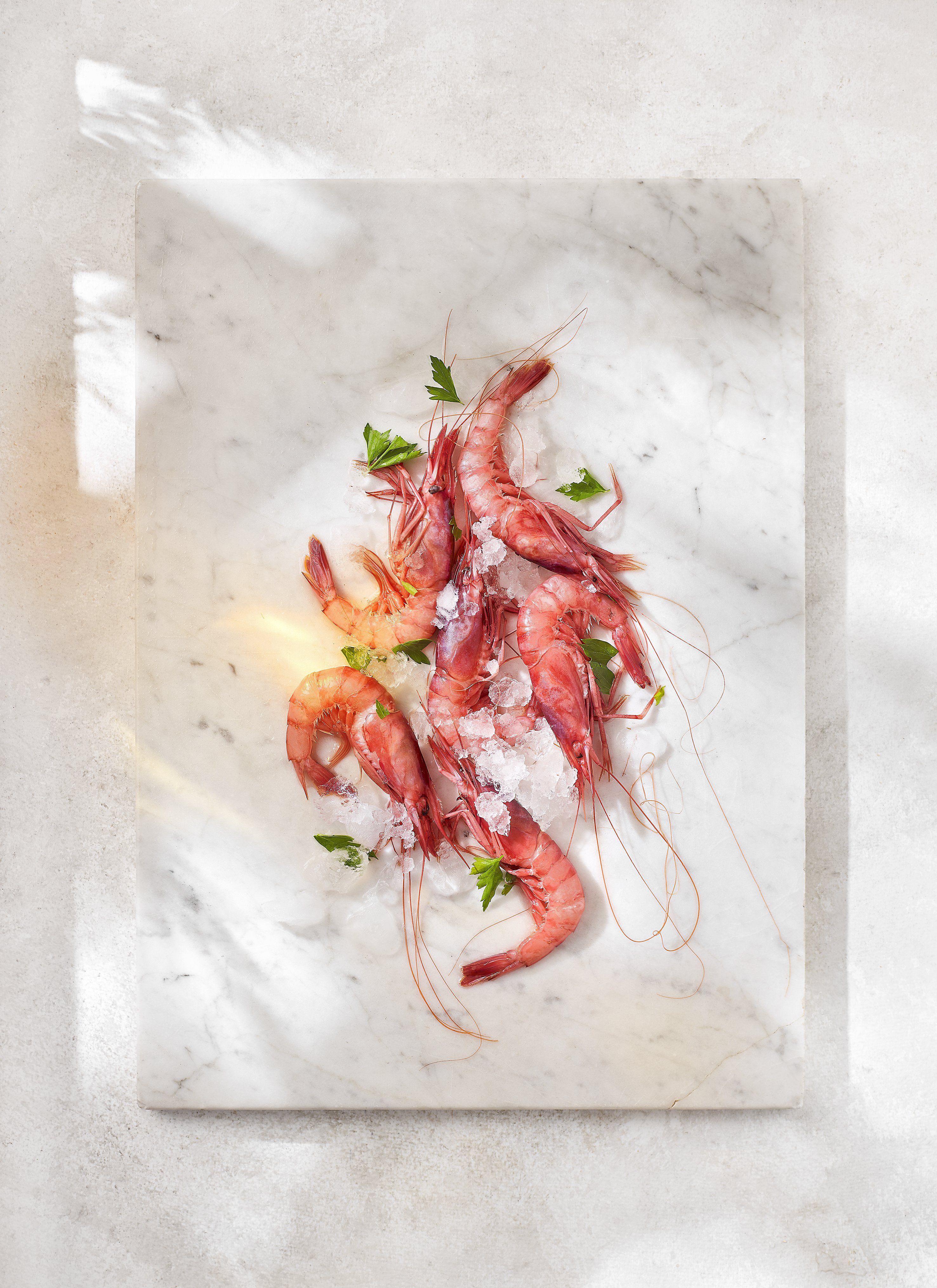 Gamba vermella