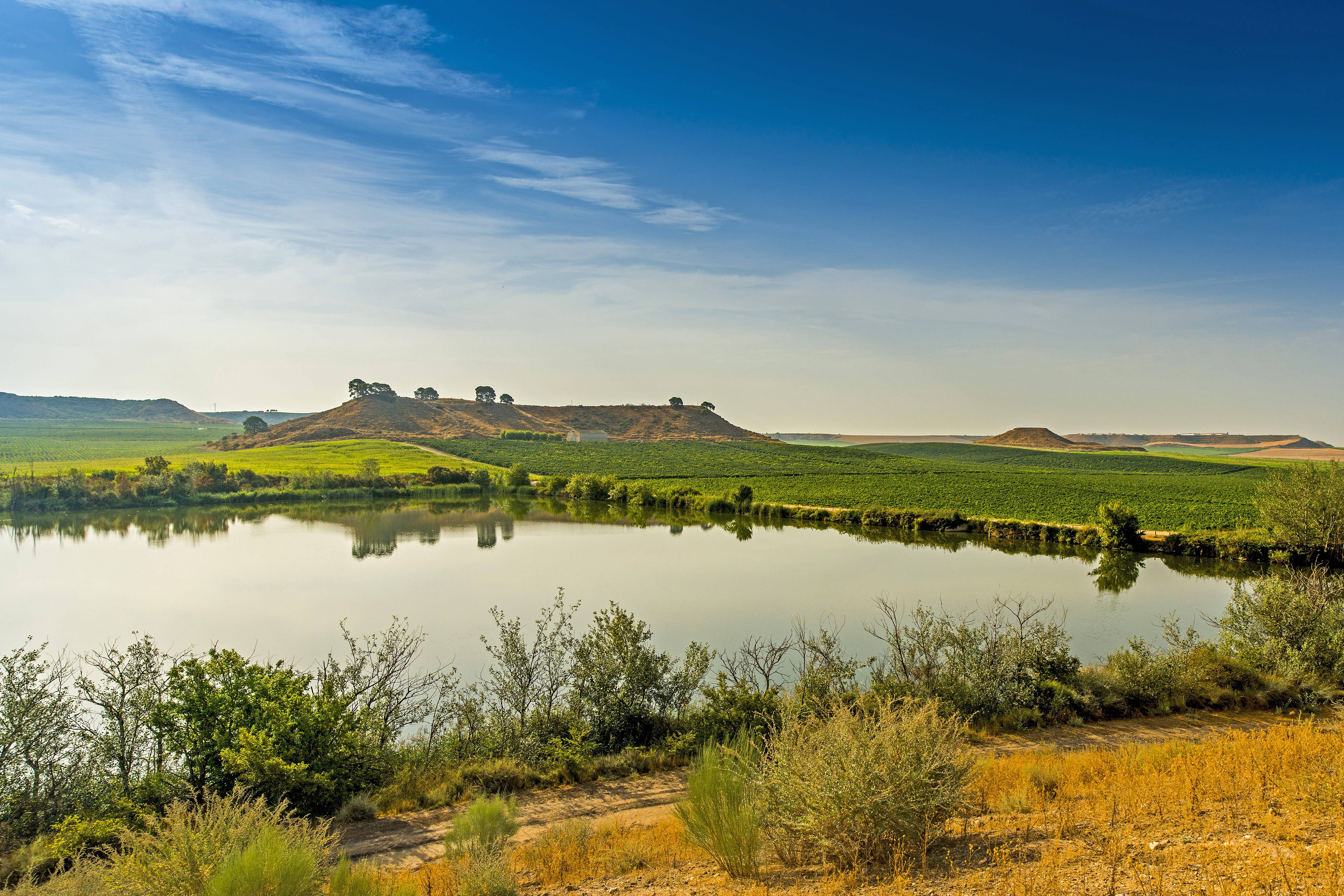 A Raimat acumulen en una bassa l'aigua que prové del canal d'Aragó i Catalunya, construït el 1906
