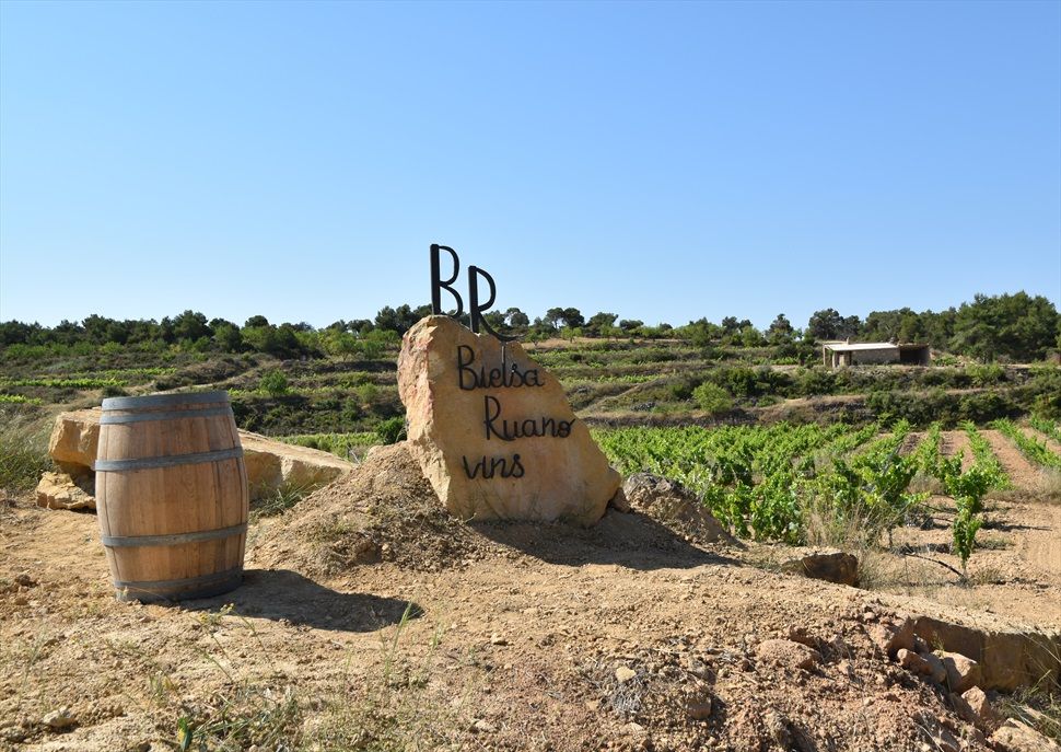 celler bielsa ruano