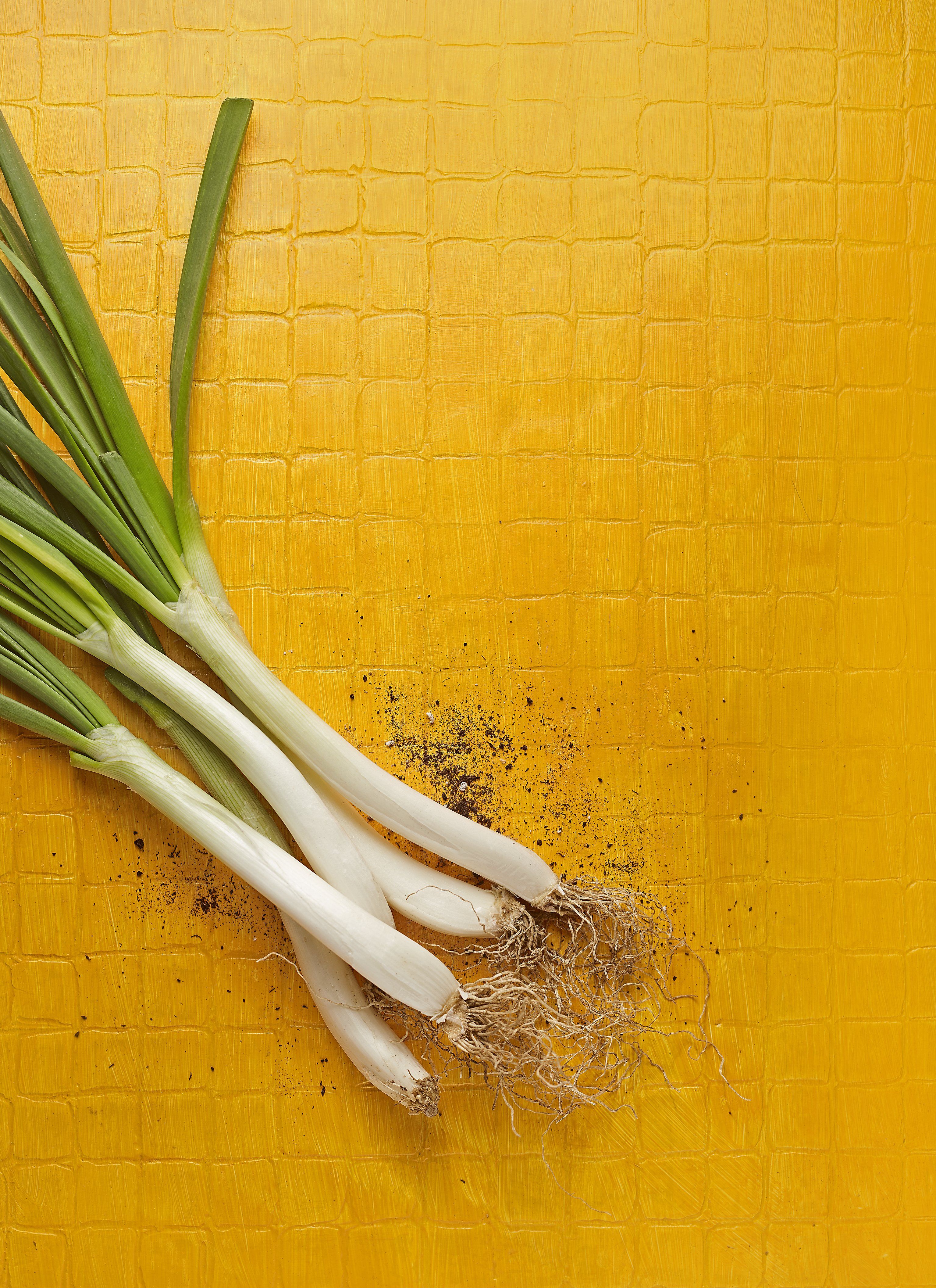 Calçots