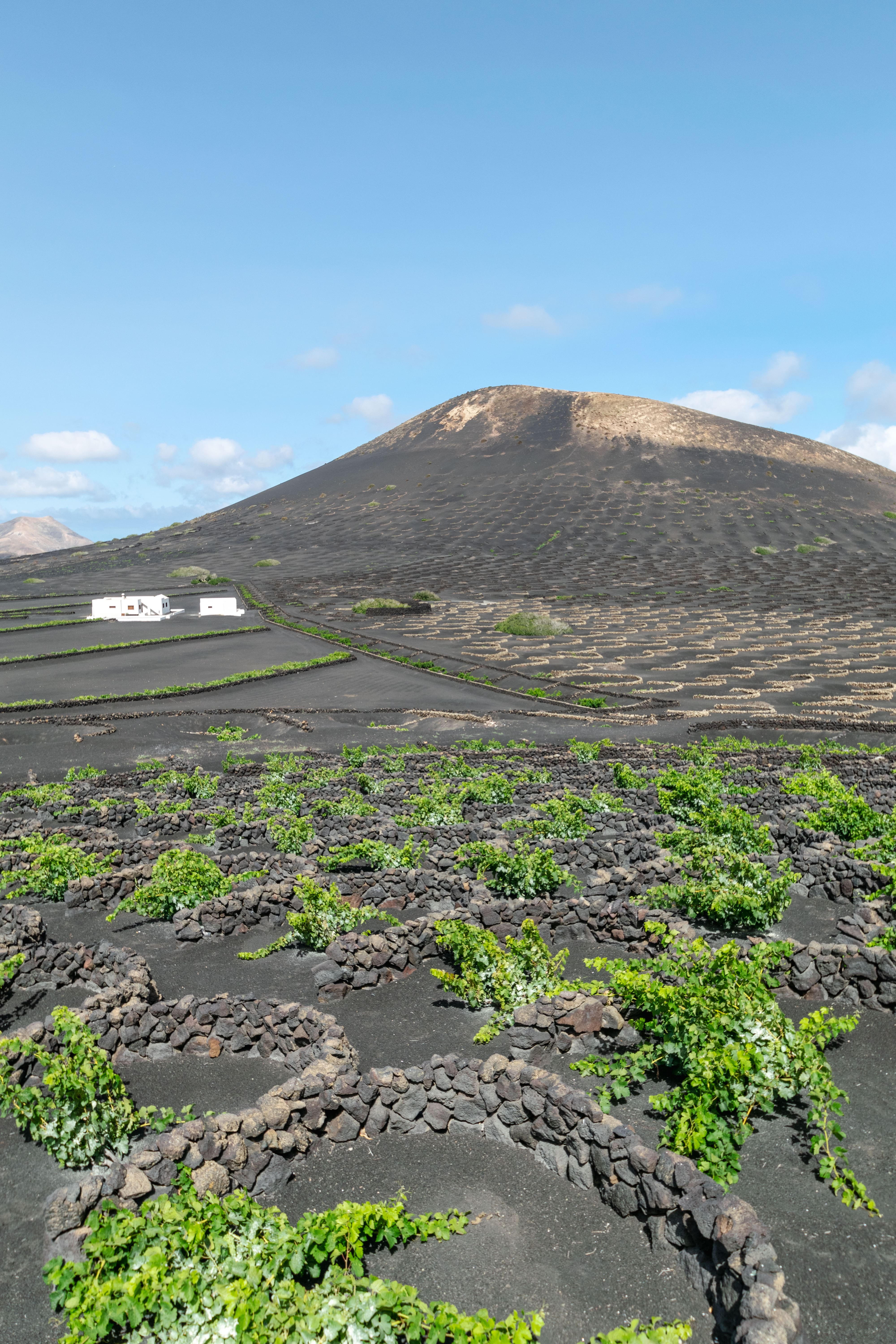 GettyImages 2149391584 (1)