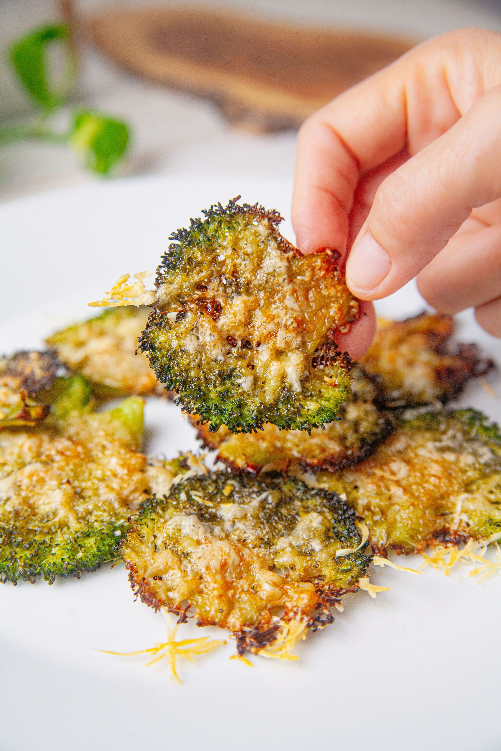 'Smash' bròquil 'Smash' bròquil