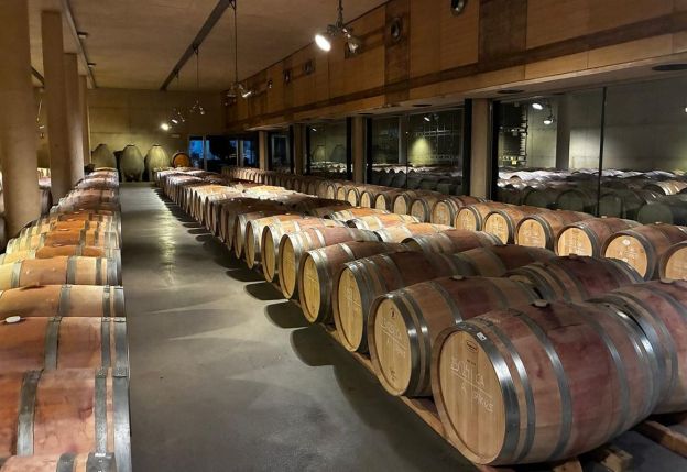 La sala de barricas de Ferrer Bobet La sala de barricas de Ferrer Bobet