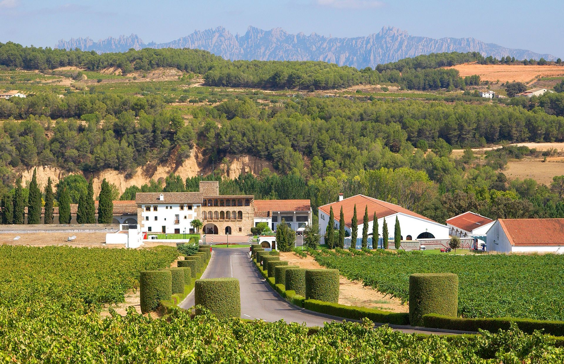 Celler Segura Viudas Celler Segura Viudas