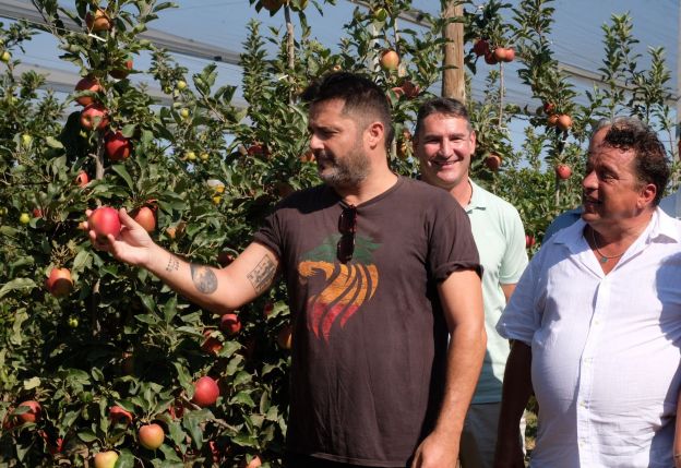 Recol·lecció de la primera poma de Poma de Girona Recol·lecció de la primera poma de Poma de Girona