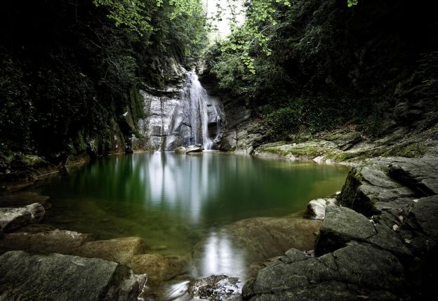 Jardi Botànic de Gombrèn Jardi Botànic de Gombrèn