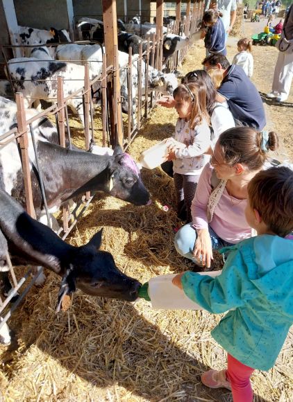 Activitat per fomentar la ramaderia Activitat per fomentar la ramaderia
