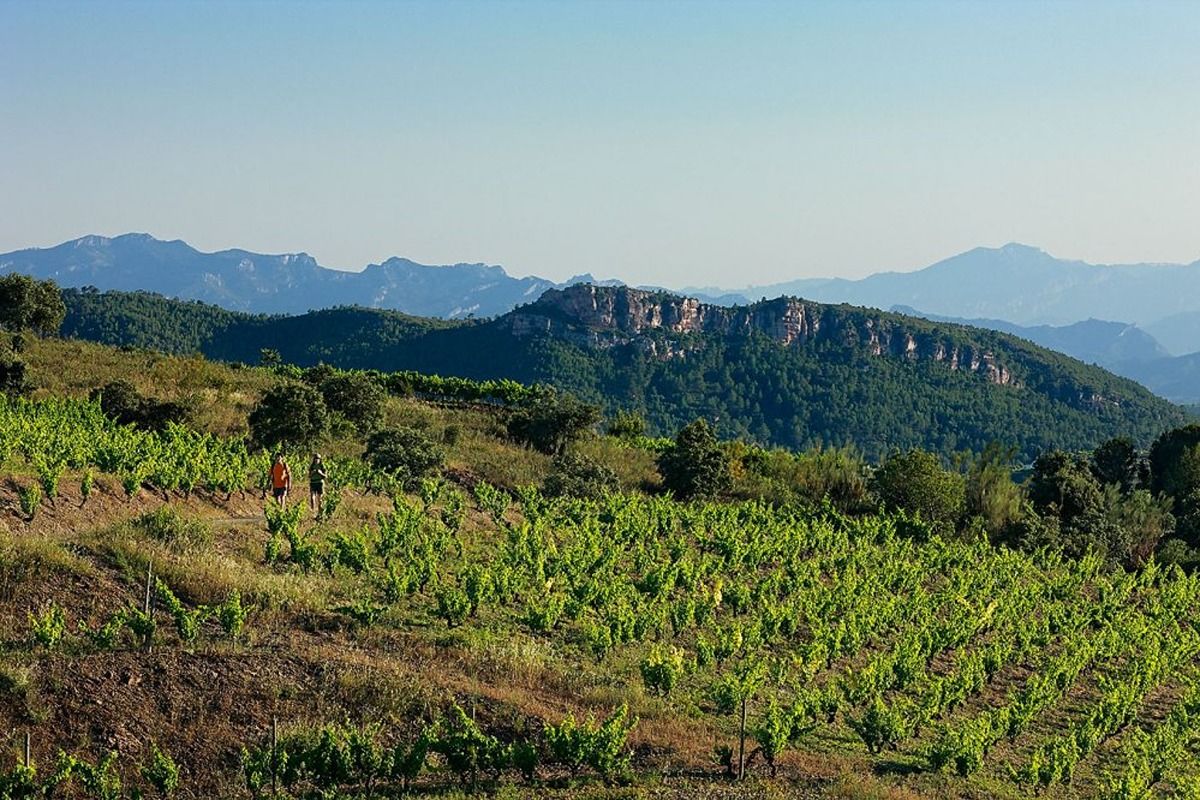 Paisatge del Priorat Paisatge del Priorat