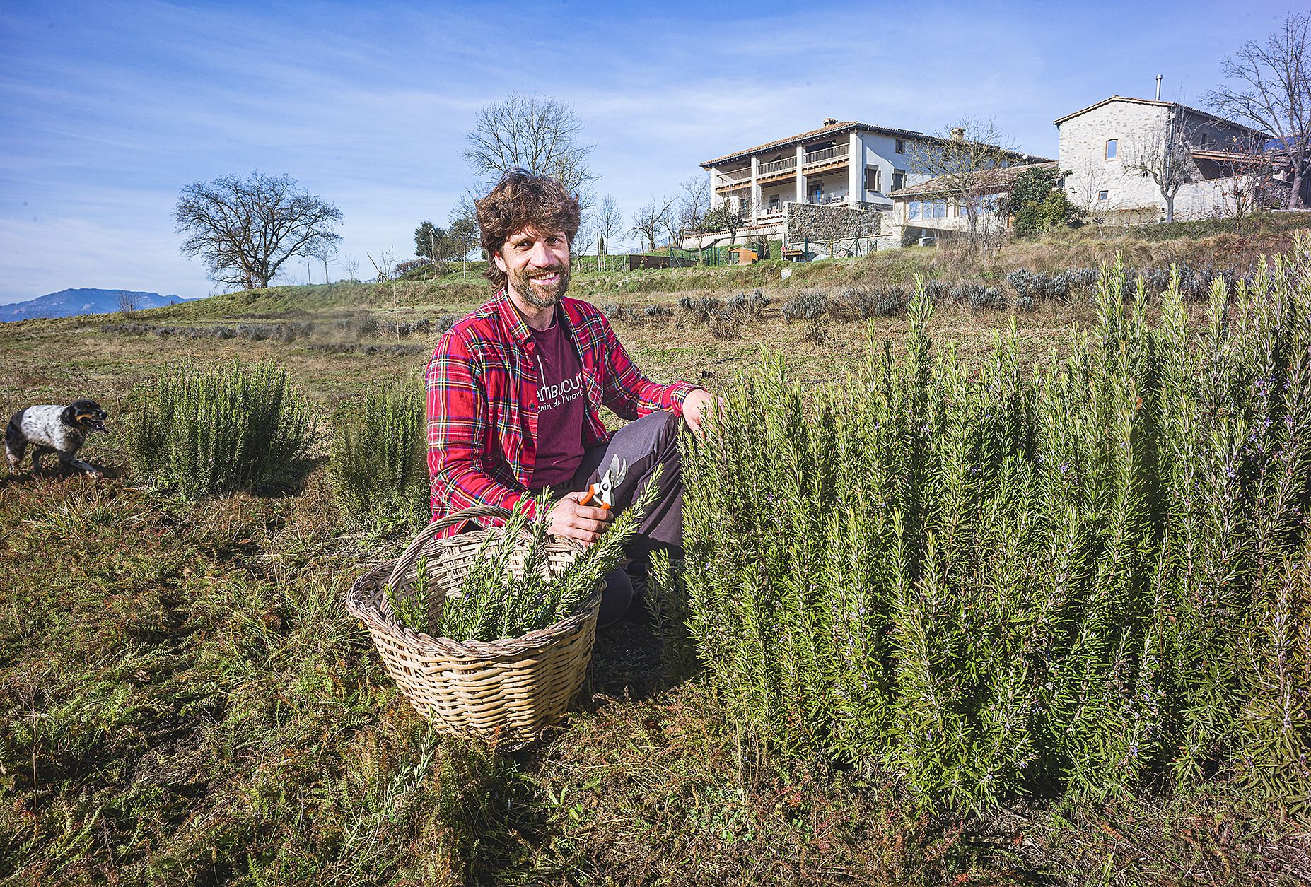 Toni Juclà, responsable de la línia d'Infusions de Sambucus Toni Juclà, responsable de la línia d'Infusions de Sambucus