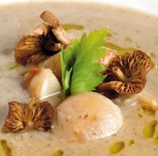 Crema de setas