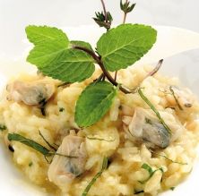 Risotto de almejas con menta fresca