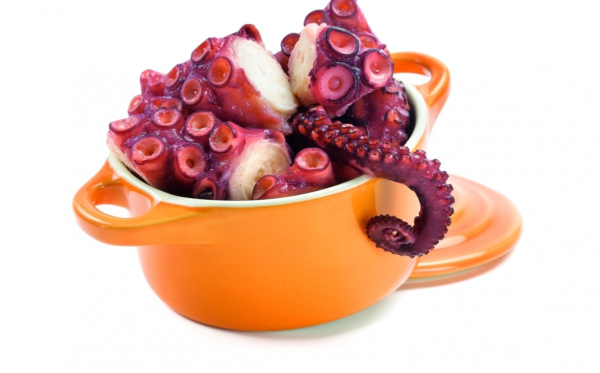 Pulpo