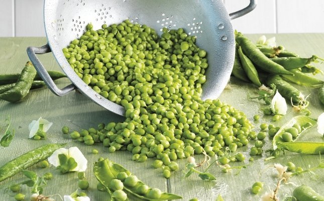 Guisantes Guisantes