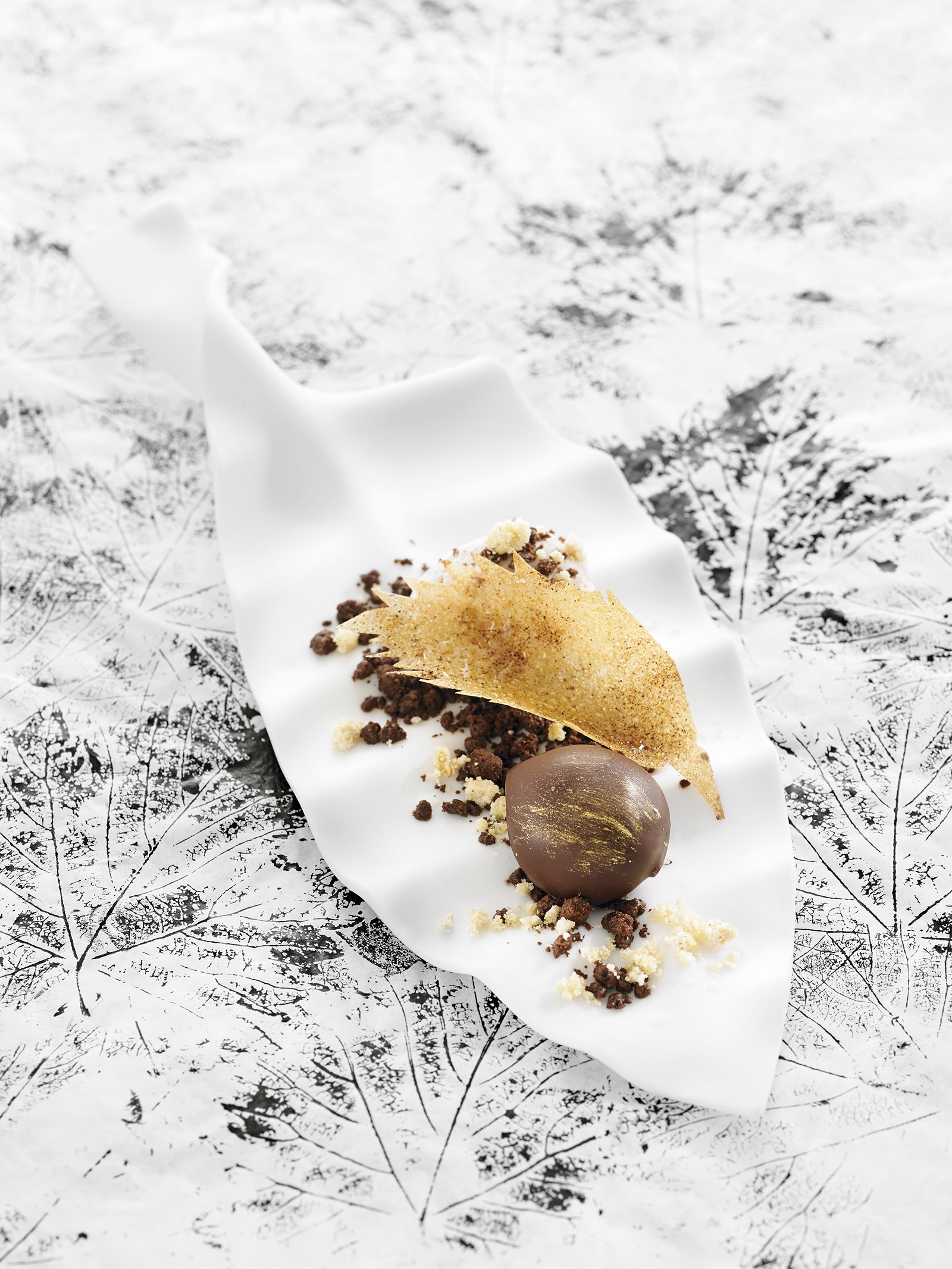 Castanya de Galícia i la fulla amb terra gelada de xocolata