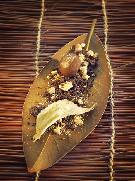 Castaña de foie y chocolate con hojas de mijo crujientes