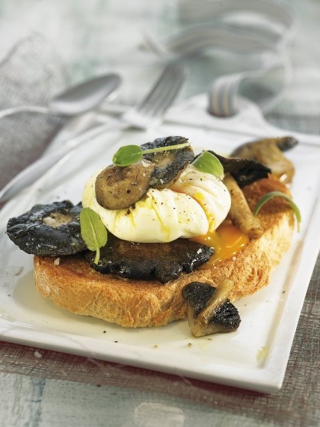 Tostada de setas silvestres y huevos con camisa