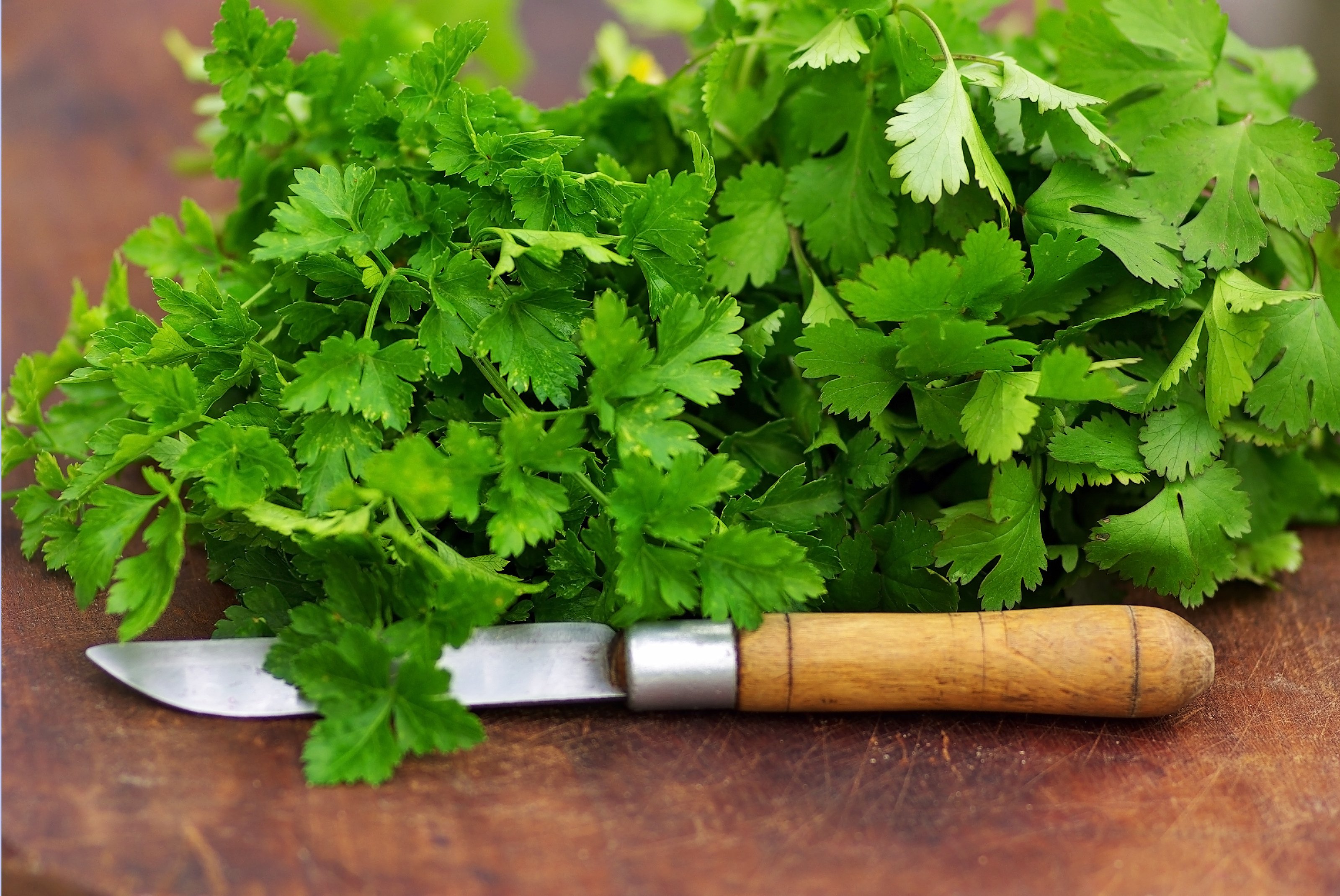 Herbes aromàtiques