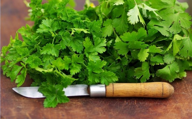 Herbes aromàtiques