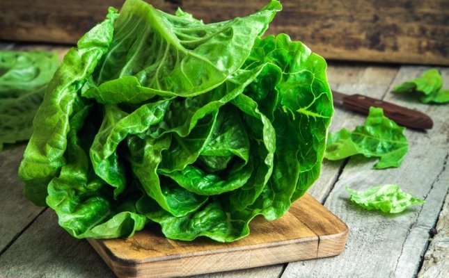 Lechuga romana / Thinkstock