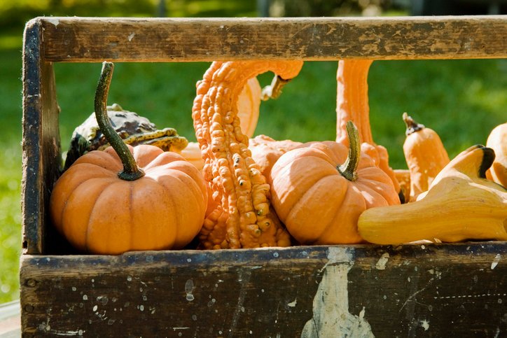 Varios tipos de calabazas / Thinkstock