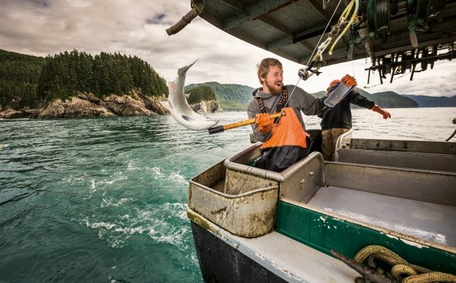 Pesca del salmón en Alaska