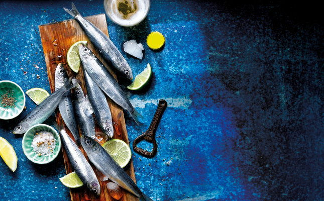 Sardines fresques Sardines fresques