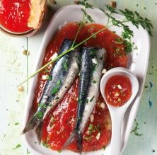 Sardines marinades sobre compota de tomàquet