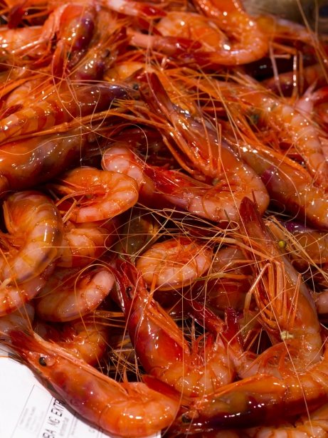 Gamba roja de Palamós