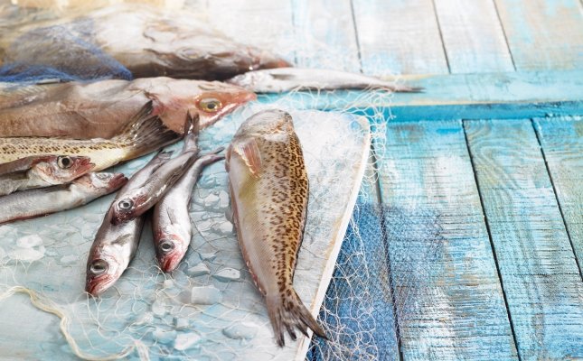 Peixos Peixos