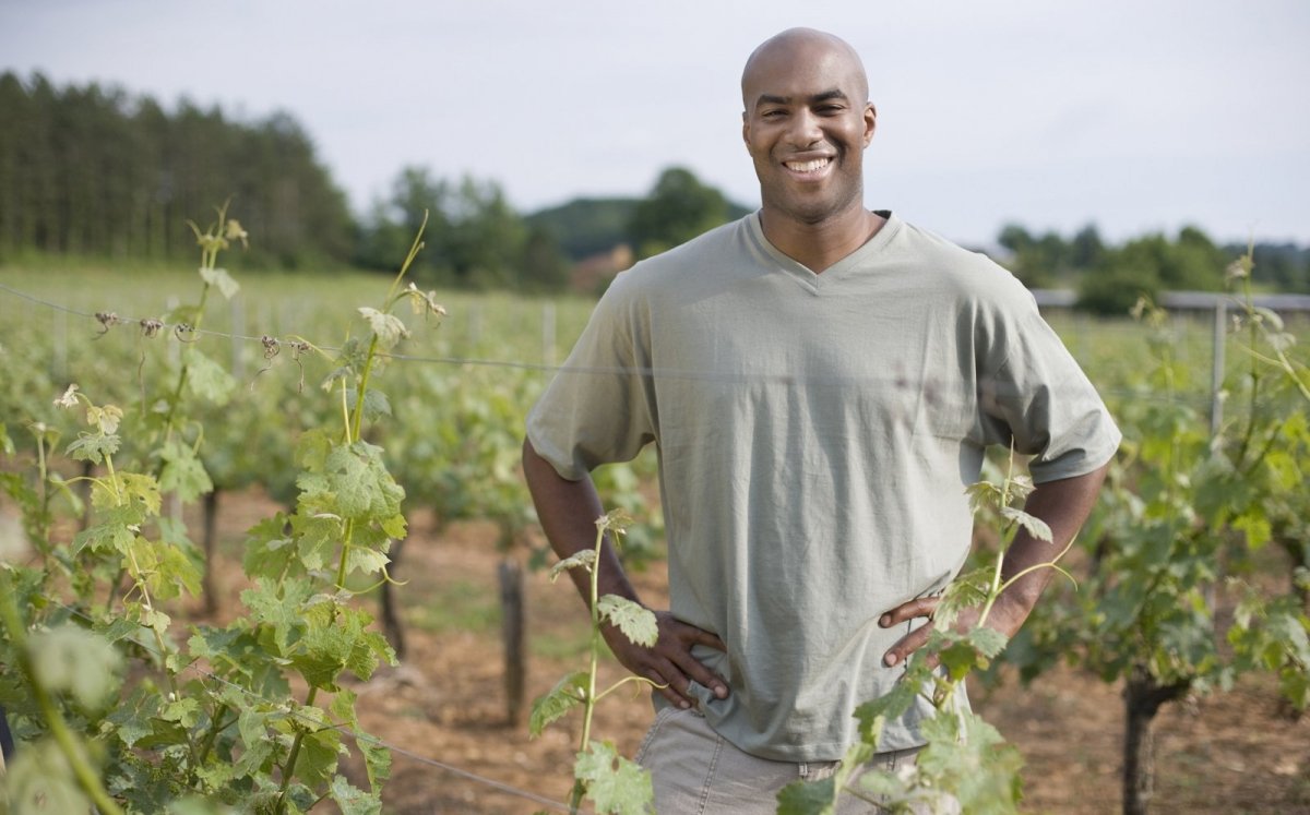 Hombre trabajando en una viña